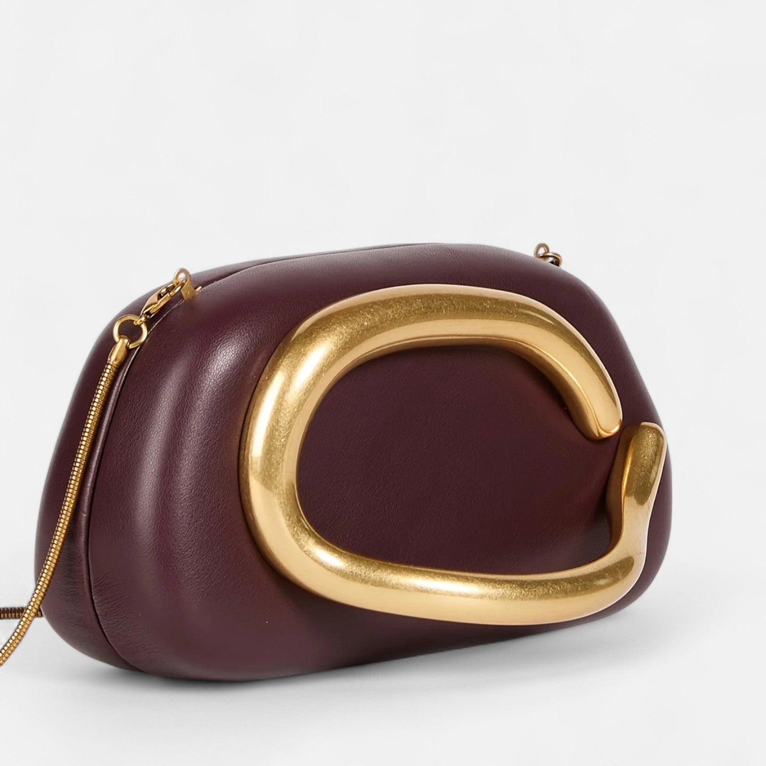 Desines | Hard Clutch with Gold Clasp